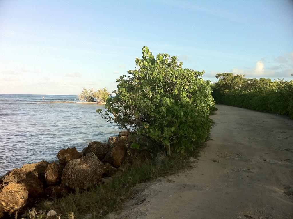 Caraibe Creol' Keys Lejlighed Port-Louis Værelse billede