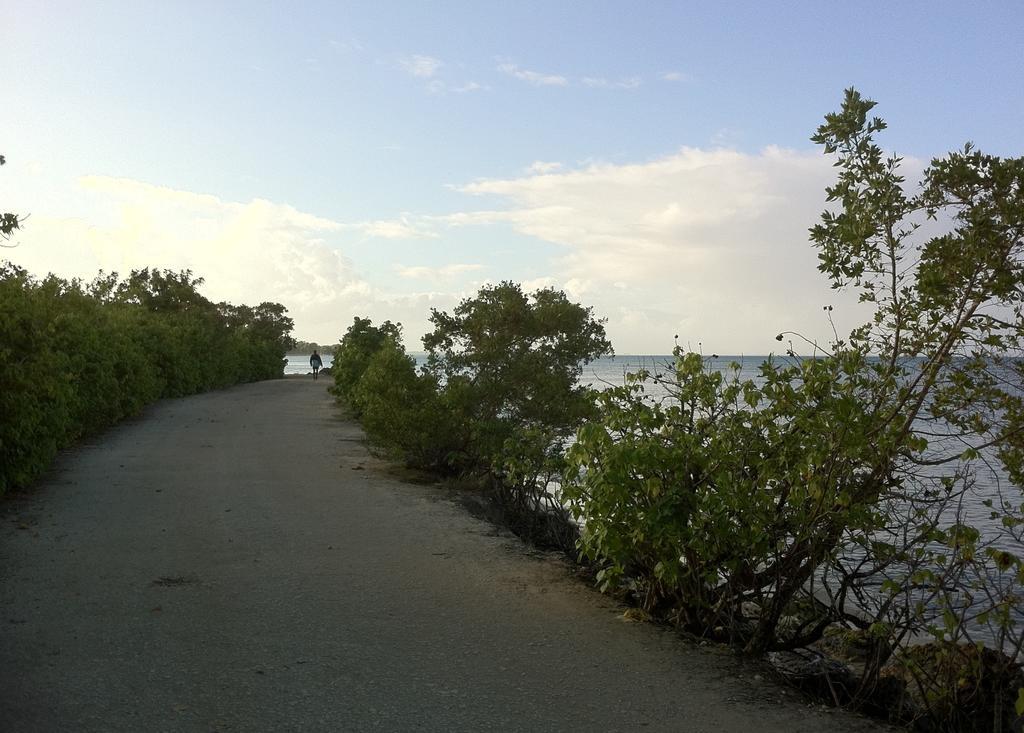 Caraibe Creol' Keys Lejlighed Port-Louis Værelse billede